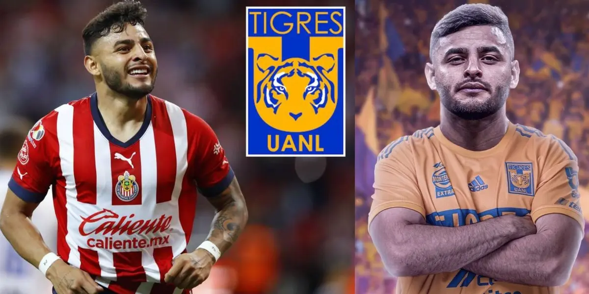 Al no ser tomado en cuenta con Chivas consideraría llegar a Tigres en donde sí tendrá minutos