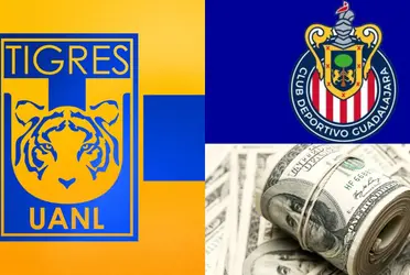 Con una oferta de 55 millones, los Tigres le "robarían" un refuerzo estrella a las Chivas