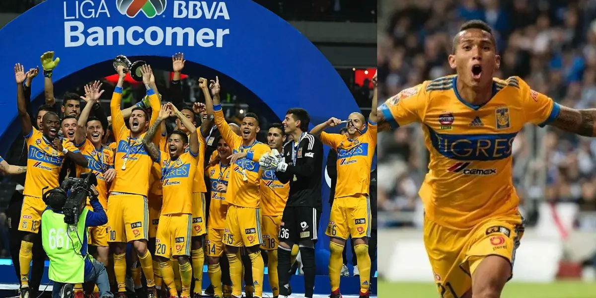 Desde hace cinco años Tigres encontró una nueva casa