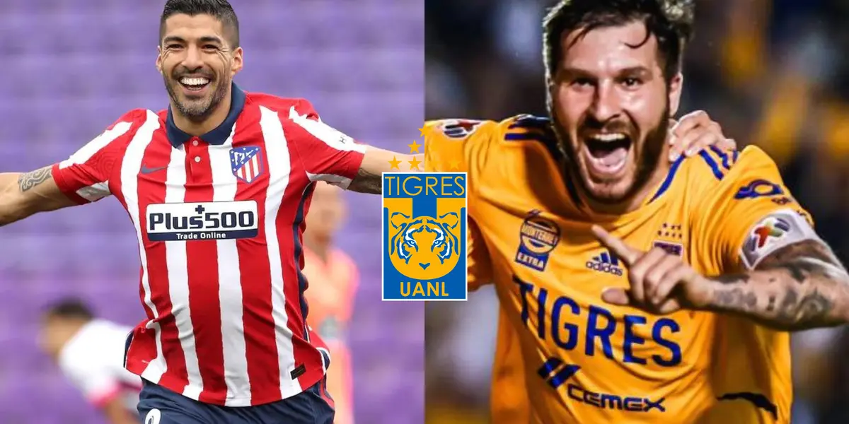 El delantero podría llegar a Tigres a sumar poderío al ataque felino