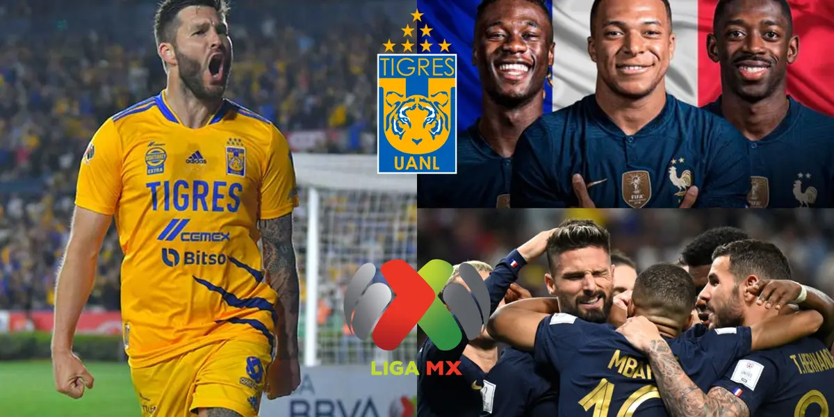 El jugador conoce a los Tigres UANL por André-Pierre Gignac