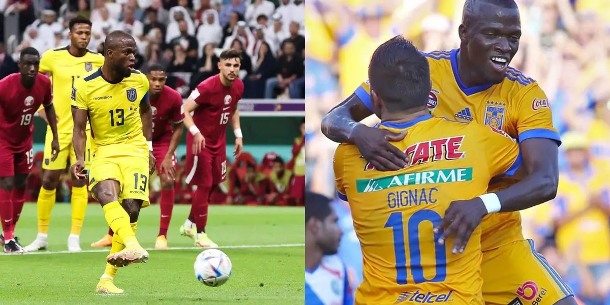 El jugador está brillando en el Mundial y la directiva lo quiere traer de regreso a Tigres