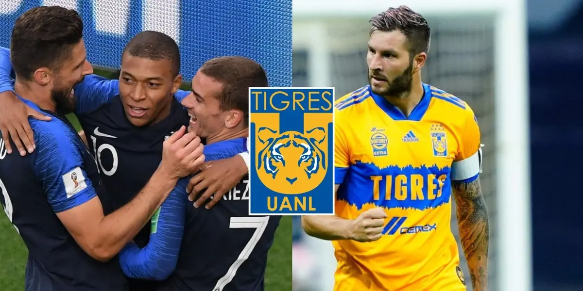 El jugador francés que brilla en Qatar y gracias a Gignac luciría la playera de Tigres 