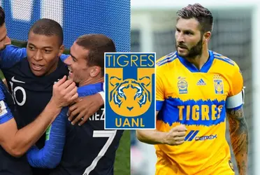 El jugador francés que brilla en Qatar y gracias a Gignac luciría la playera de Tigres 