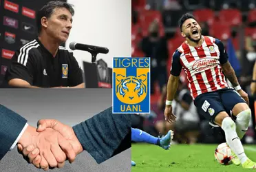 El primer refuerzo de Tigres es un jugador muy polémico