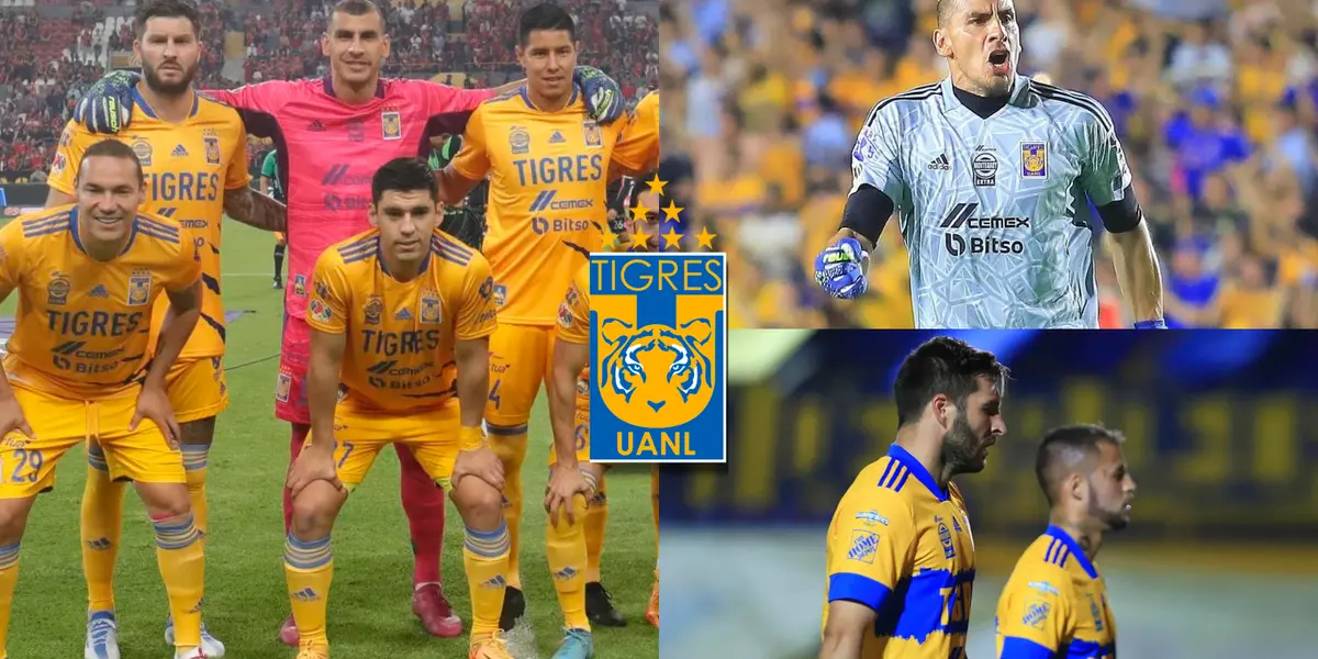 Estas son las maximas figuras de Tigres de todos los tiempos