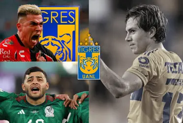 Este nuevo elemento de Tigres viene con cartel de goleador 