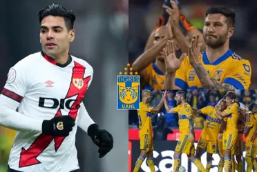 Falco le facilitaría las cosas a la directiva de Tigres