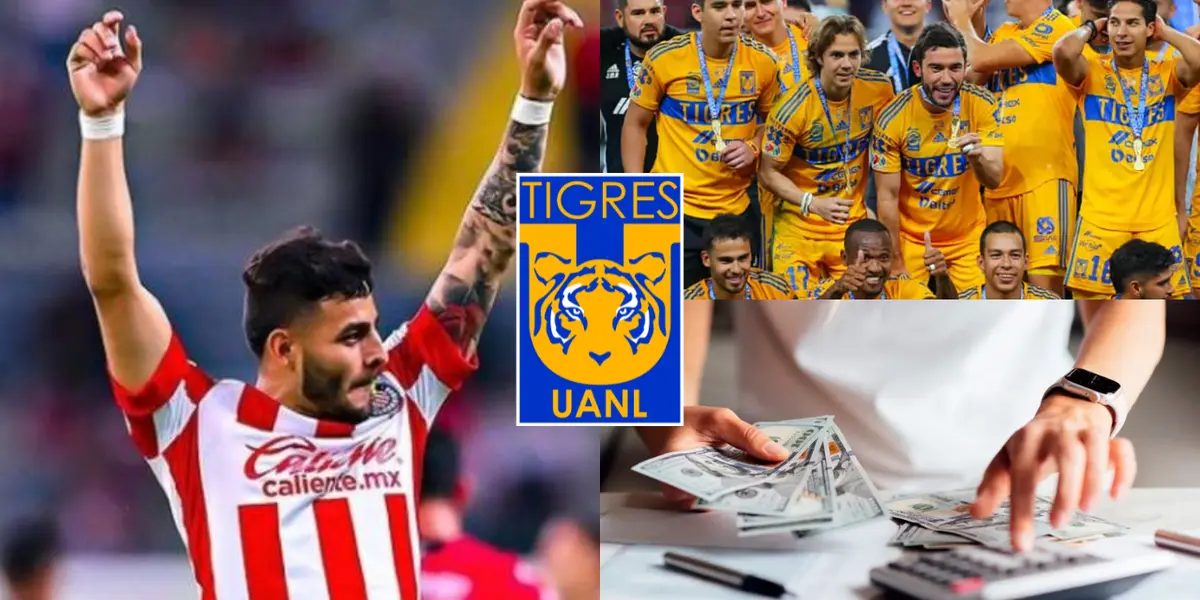 La afición de Tigres se empieza a cansar de Alexis y ahora la UANL apunta a otro gran fichaje y mucho más barato que le de las Chivas.