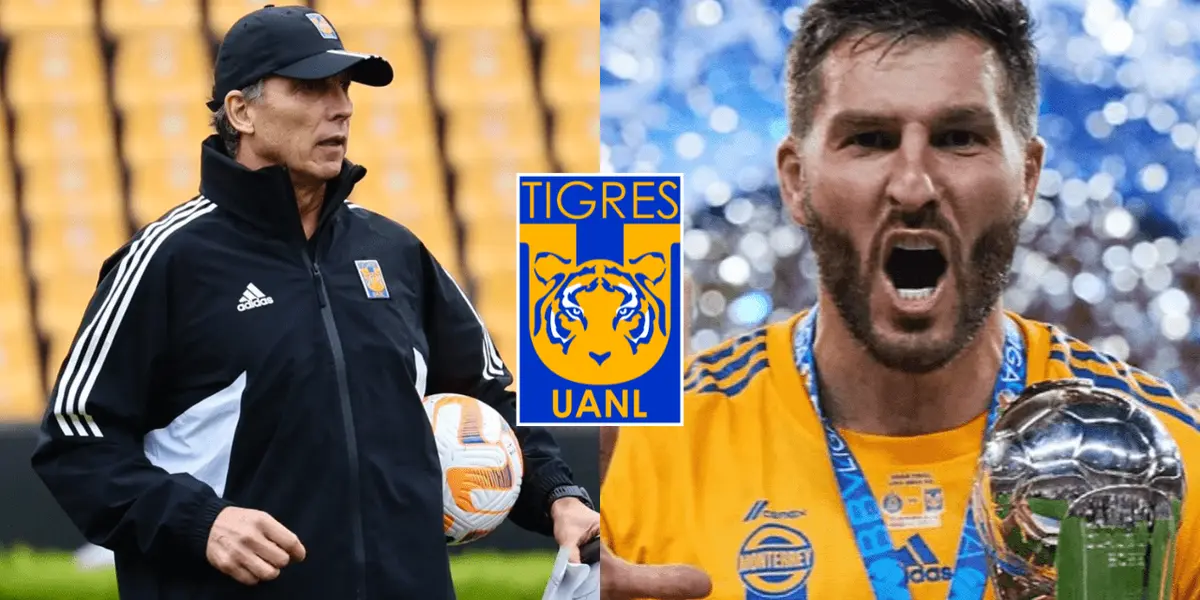 La directiva de Tigres no cesa y sigue intentando un mega fichaje para Siboldi, y ahora APG podría ser la pieza clave para el acuerdo.