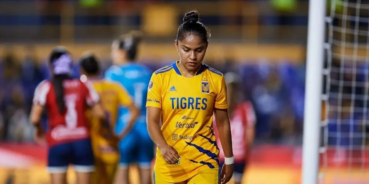 La Federación podría multar a las Tigres por esta razón.