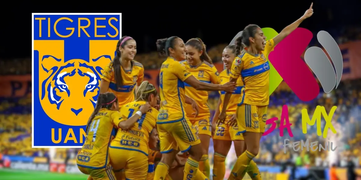 Las Amazonas han sido el mejor equipo de la Liga MX Femenil, pero el futbol a veces no es justo