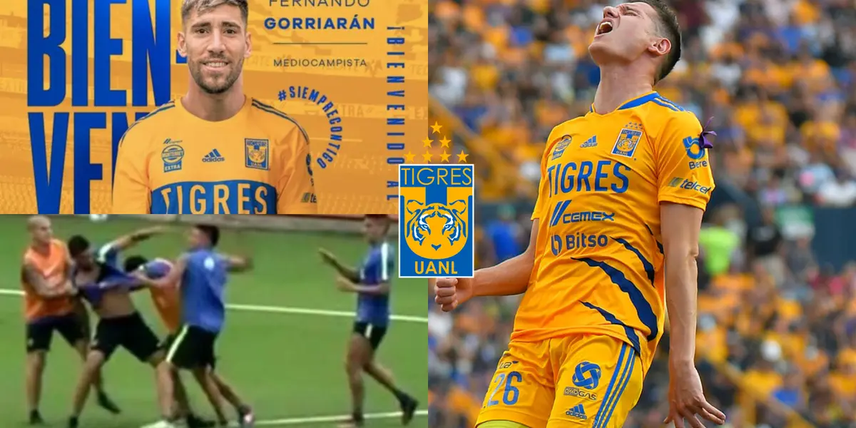 Llegó a Tigres para romperla y ser campeón con el equipo