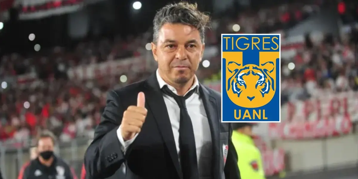 Marcelo Gallardo tendría tres condiciones para que sea el nuevo DT de Tigres