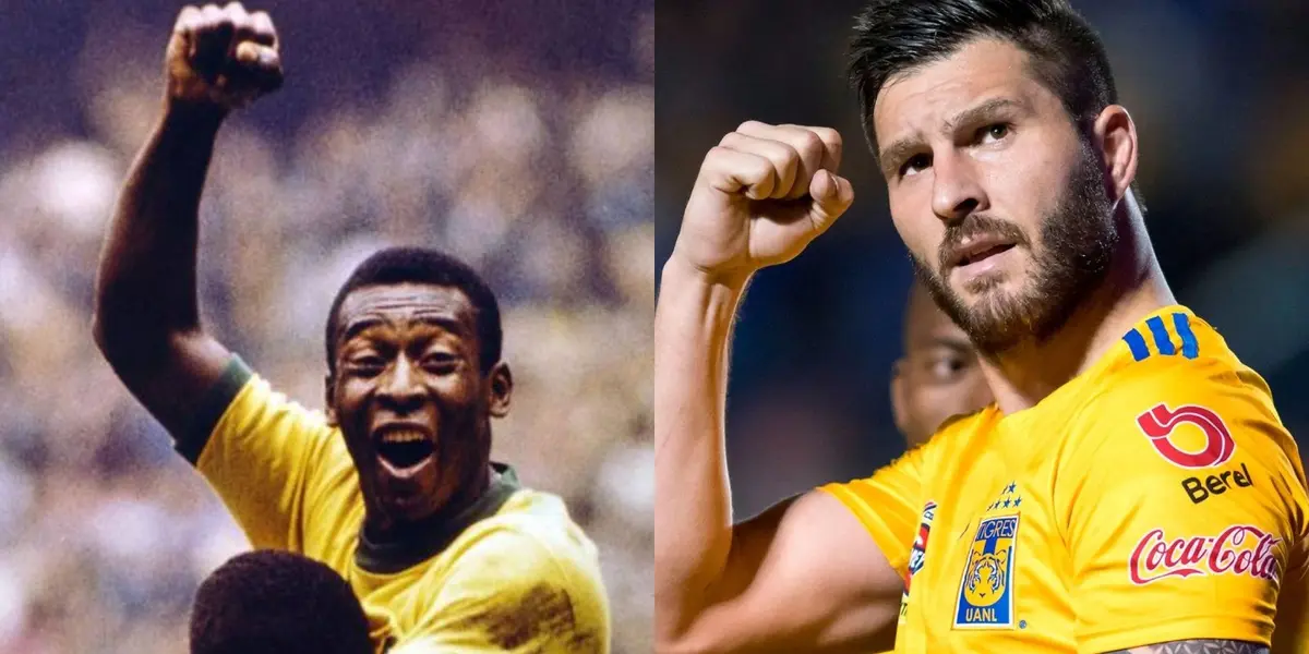 Narradores de partidos entre Tigres y Portland compararon a Gignac con el histórico Rey Pelé