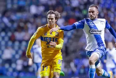 Nuestros Tigres llegan como los favoritos para avanzar a la semifinal