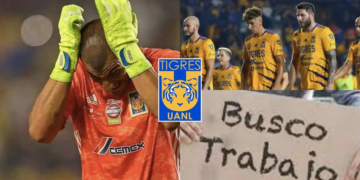 Se hace millonario en Tigres sin hacer mucho y se iría al final del torneo.