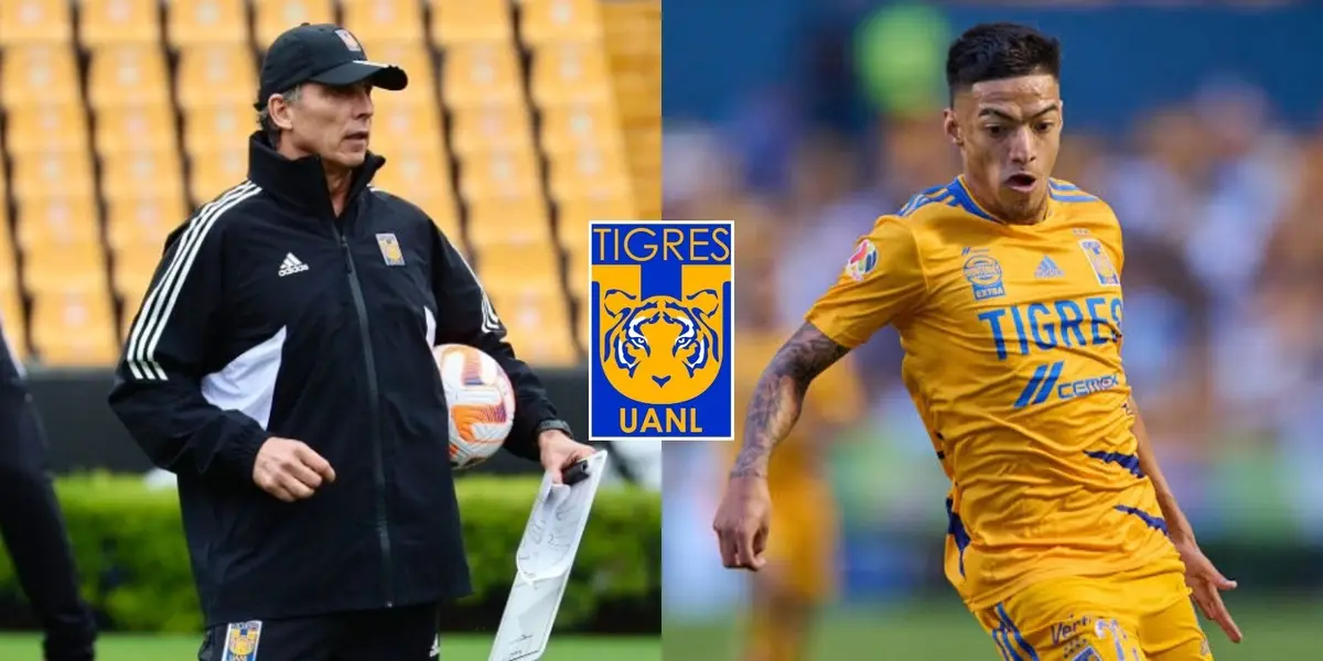 Siboldi y motivo oscuro de alinear a Fulgencio con Tigres