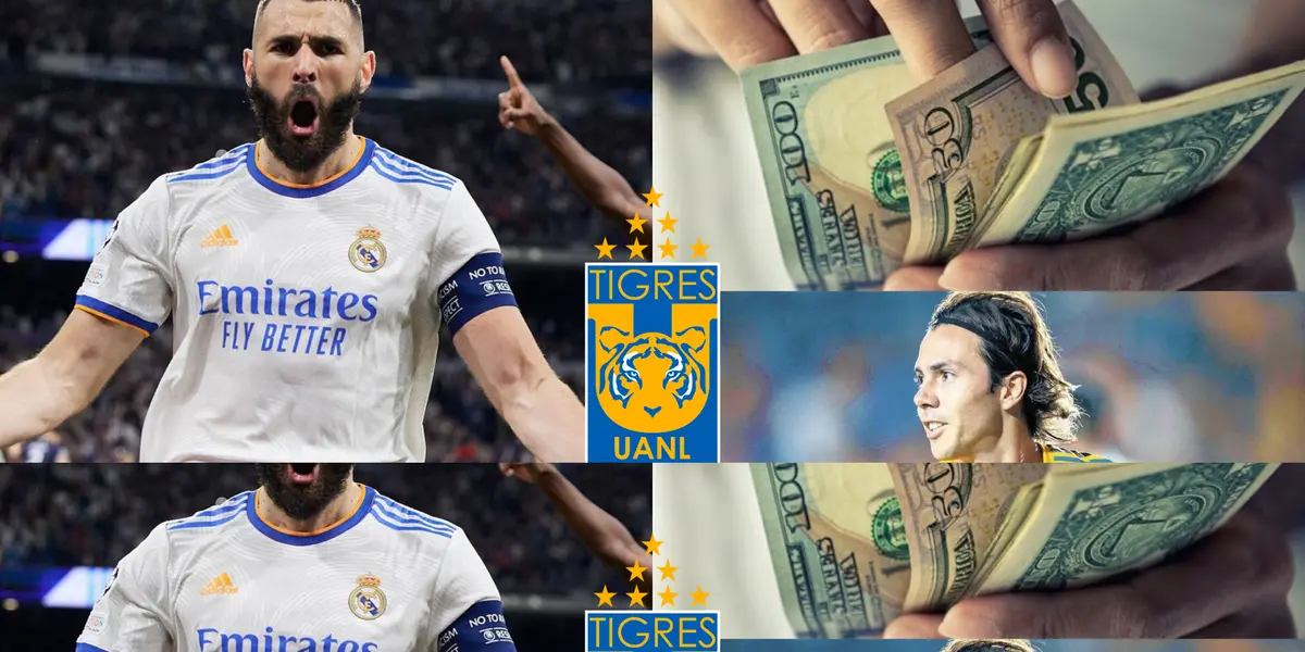 Tigres levanta la mano ante el anuncio de que Benzema deja el Real Madrid