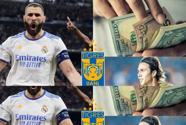 Tigres levanta la mano ante el anuncio de que Benzema deja el Real Madrid