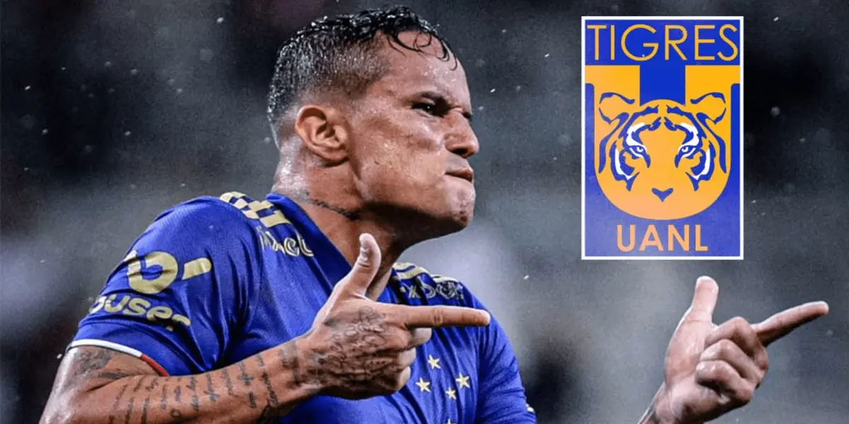 Tigres ya está planeando el siguiente torneo y este jugador le podría ayudar a ser campeones