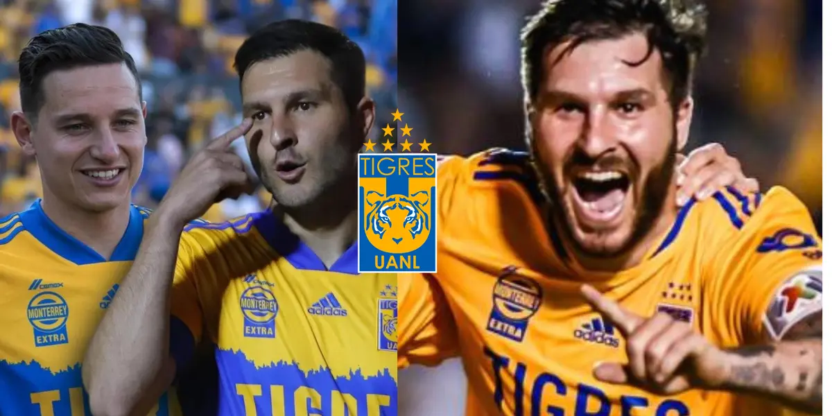 Una figura francesa se podría sumar a Gignac y Thauvin como ídolos felinos