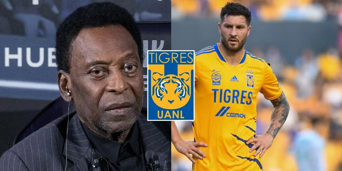 Uno de los jugadores que sorprendió a Pelé en Tigres y lo considero un crack 