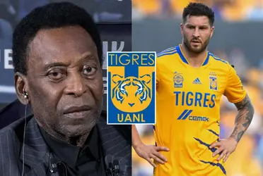 Uno de los jugadores que sorprendió a Pelé en Tigres y lo considero un crack 